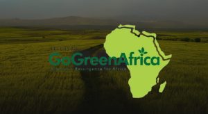 Welcome to our Website !