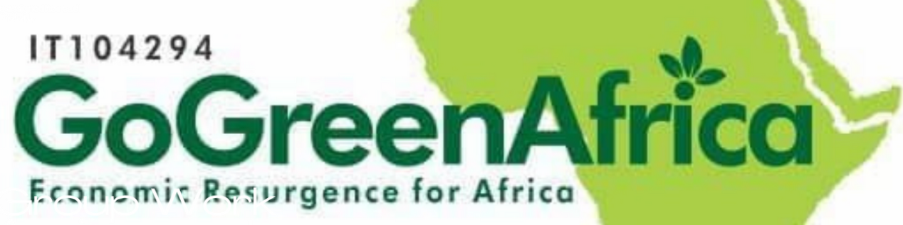 GOGREEN IMPACT AFRICA INITIATIVE GAI 